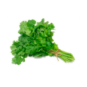 Cilantro x Paquete