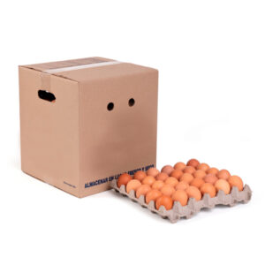 Huevo Color 1° (Caja 150u)