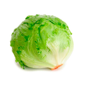 Lechuga Escarola x Unidad