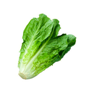 Lechuga Larga x Unidad
